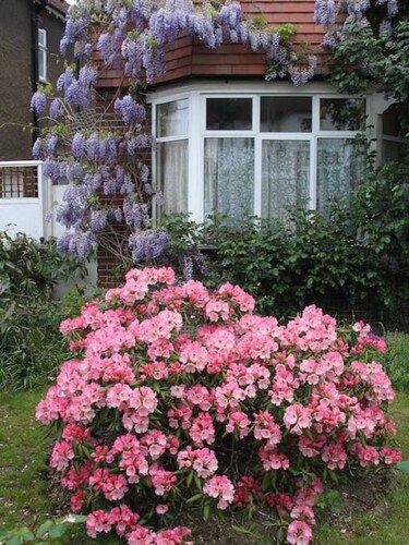 Comfortable  studio  near transport/tube on a quiet road.