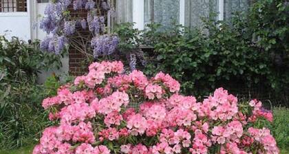 Comfortable studio near transport/tube on a quiet road.