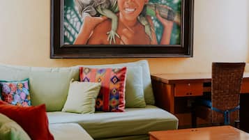 Smart TV, DVD player, books, video library