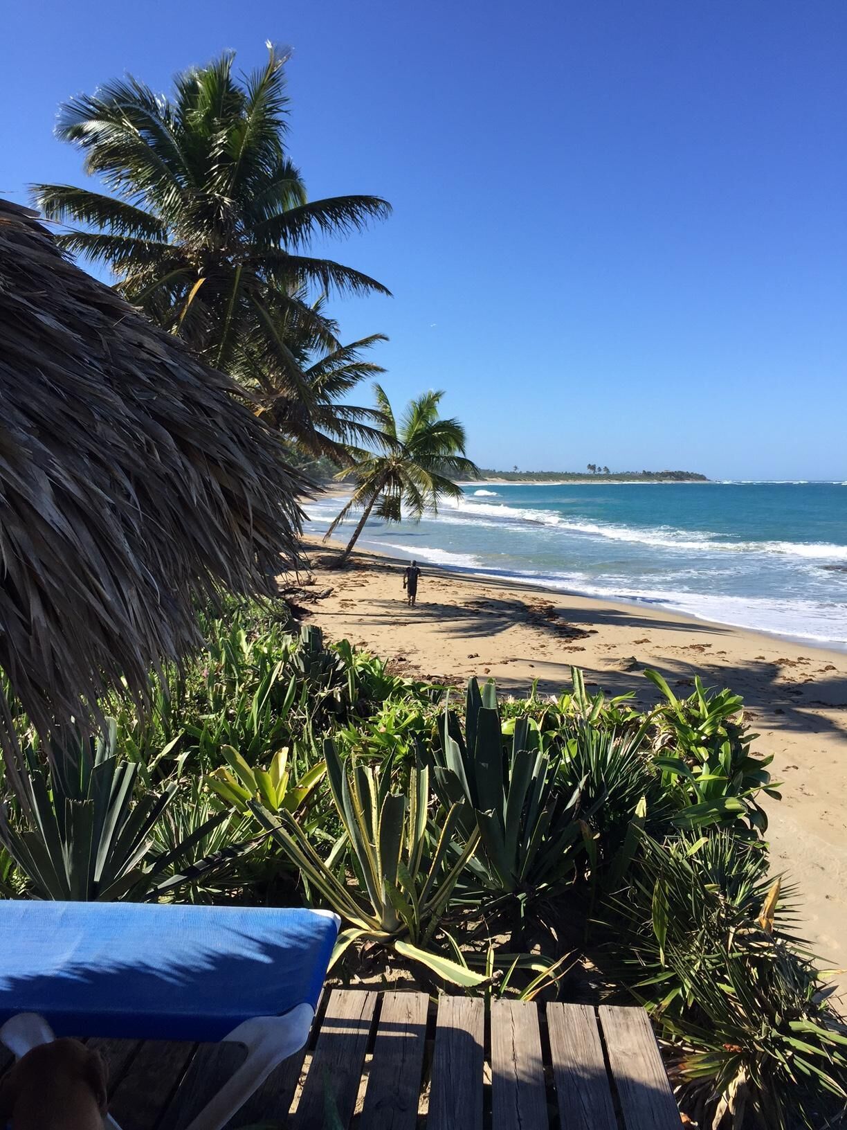 10 Best LongTerm Rentals In Cabarete, Dominican Republic Updated