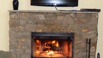 Smart TV, fireplace, DVD player, books