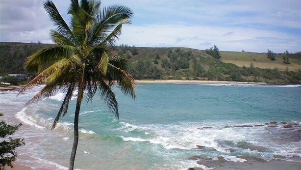 Uma praia com águas turquesa cristalinas, uma palmeira e um relevo montanhoso ao fundo.