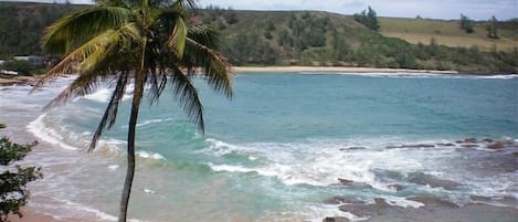 Beach nearby, sun-loungers, beach towels