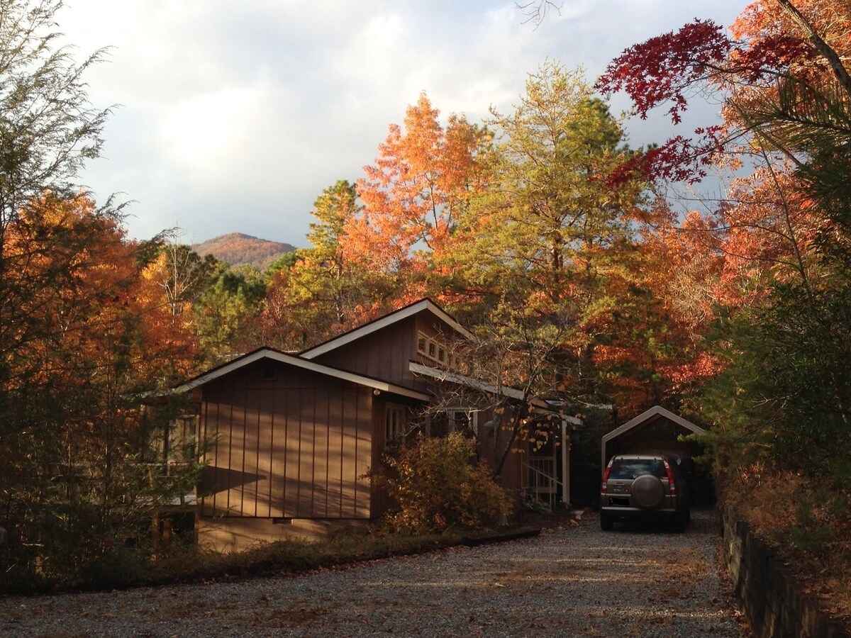 Stepp Away Mountain Laurel Cabin Near Brasstown Bald; No steep roads