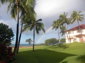 Escape to a serene oasis with lush greenery and tranquil surroundings.