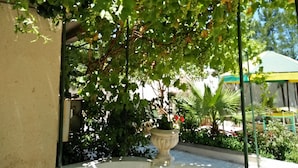 Un patio con una fuente, abundante vegetación y fachada de edificio.