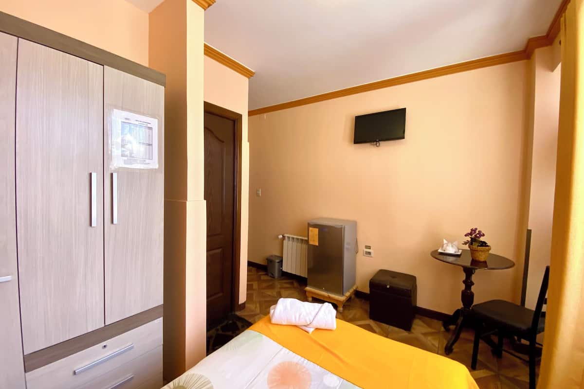 A hotel room with a bed, a wardrobe, a desk with a chair, a television, and a small table with a plant.