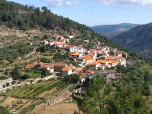 A hillside village with terraced vineyards and traditional buildings with orange-tiled roofs. - Casa do Abade - Solar de Goujoim (Armamar)