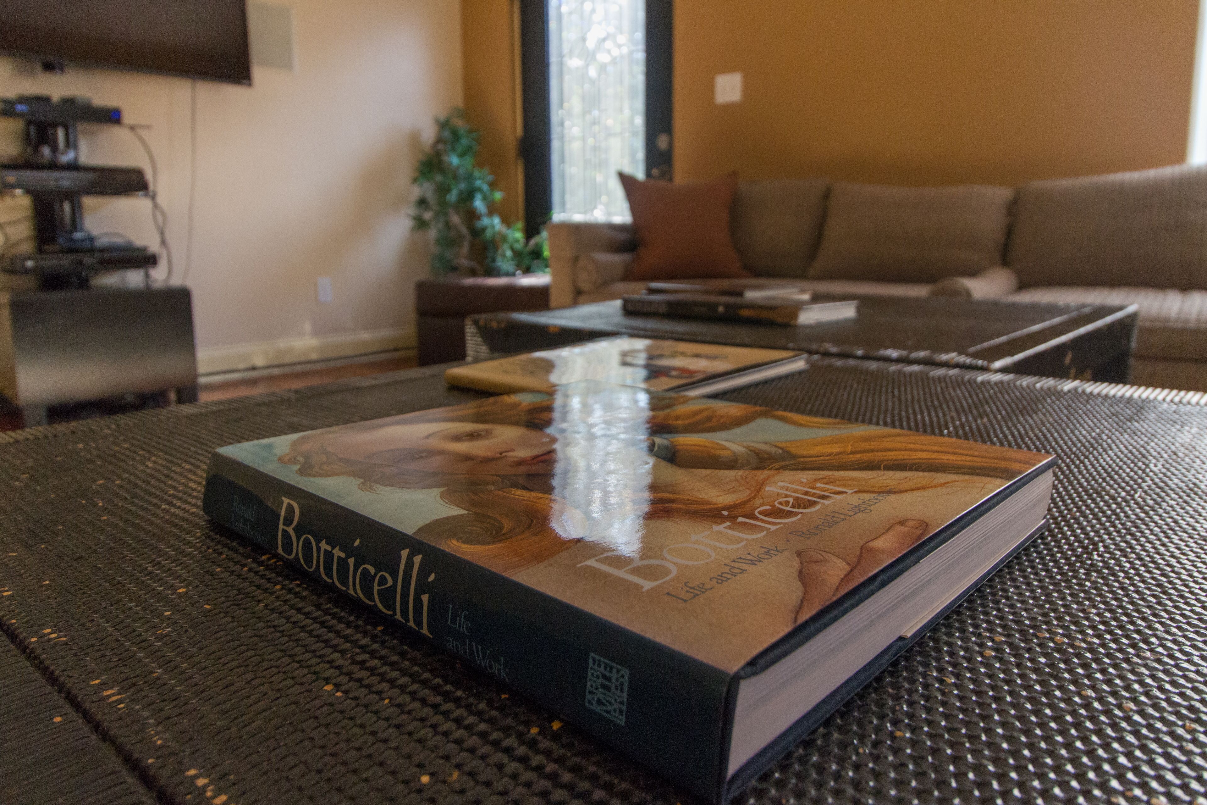 A book titled 'Botticelli' on a textured surface in a living room with a sofa and a coffee table in the background.