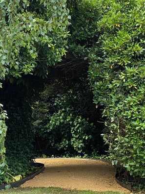 Un sentier bordé d’une végétation luxuriante, qui mène à une zone abritée.