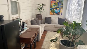 Smart TV, chimenea, reproductor de DVD y libros