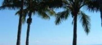 Villa 31 in Tangalooma Moreton Isl