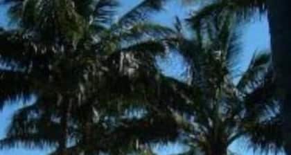 Villa 31 bei Tangalooma Moreton Isl