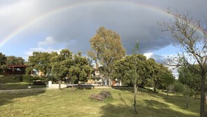 A park with a large tree, a grassy area, and a building in the background. - Casa de Campo el Encinar - Paddleball, Pickleball, Swimming Pool and Barbecue (Santa Cruz del Retamar)