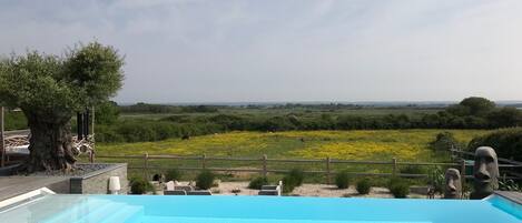Outdoor pool, an infinity pool