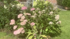 A brick house with a red-tiled roof, a front porch with a bench, and a garden with pink flowers. - Modernised farmhouse near Oldenburg with a beautiful garden in the countryside (Uplengen)