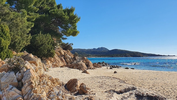 A beach with rocky terrain, a pine tree, and a clear blue sea under a sunny sky. - Landelijk gelegen villa met privé zwembad, in het zuiden van Sardinië (Perdaxius)