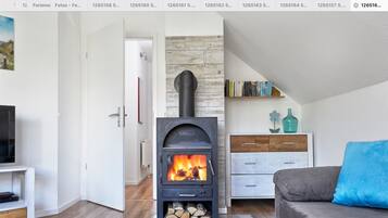 電視、壁爐、乒乓球設施、音響