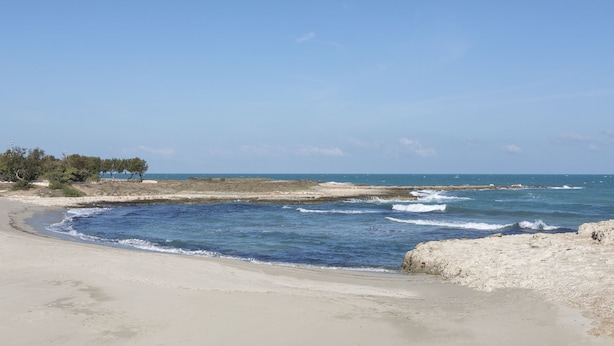 A beach with clear skies, calm waters, and sparse vegetation.