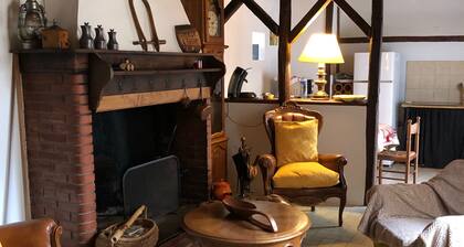 Gîte de l'arac, Comfortable house with fireplace. Mountain view,