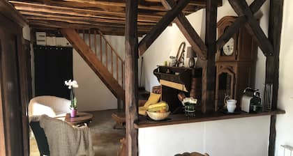 GĂźte de l'arac, Komfortables Haus mit Kamin. Blick auf die Berge