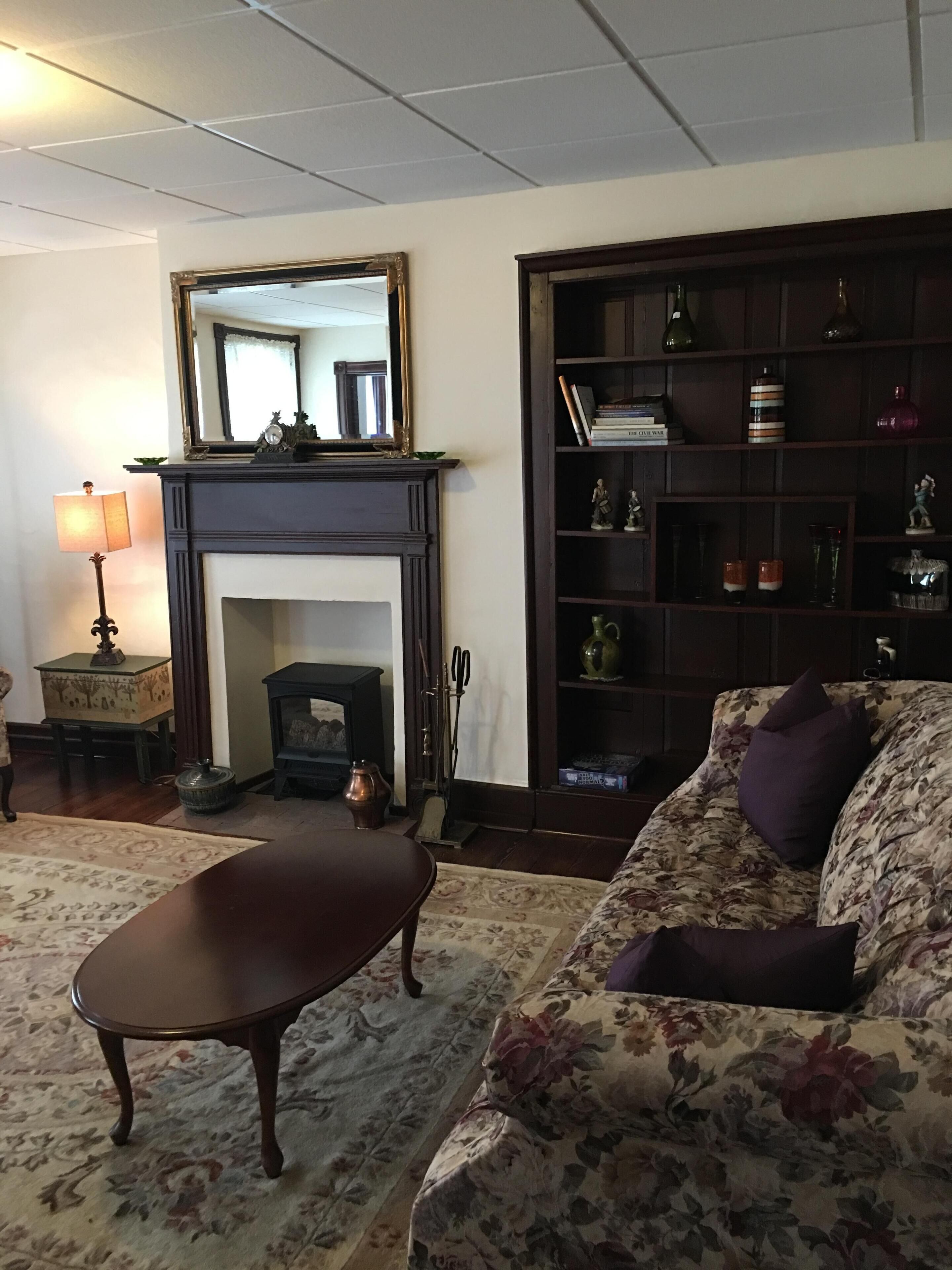 Televisor intel·ligent, llar de foc i llibres 