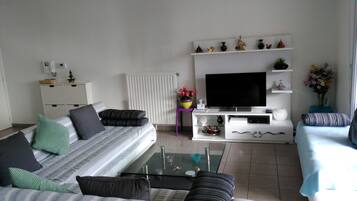 Televisión y libros