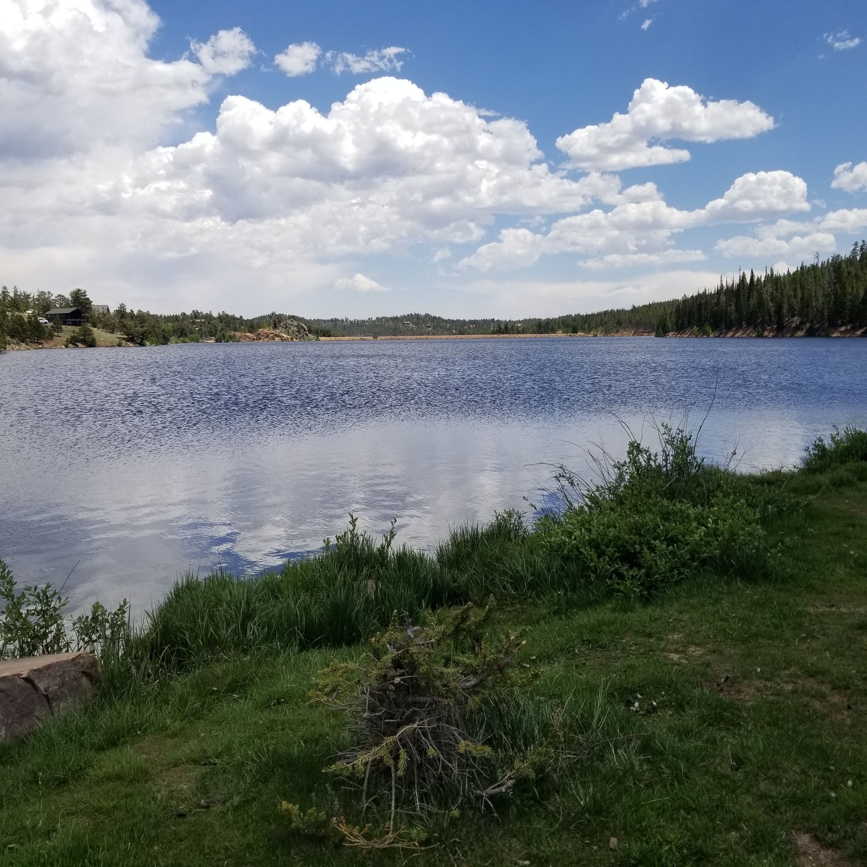 A lake with a grassy shoreline and trees in the background.