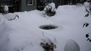 Un jardín cubierto de nieve con un bebedero para pájaros, un ave y una casa al fondo.
