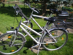 A silver bicycle with a black seat and a basket, parked on grass. - small cozy, lovingly furnished holiday house for 2 people (Dresden)