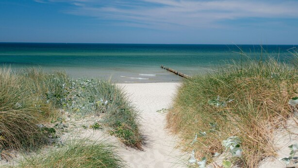 Un sentier de sable qui longe la plage et mène à l’océan, avec une jetée en bois visible au loin.