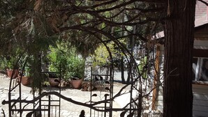Un jardín con plantas en macetas, una valla metálica y un edificio al fondo.
