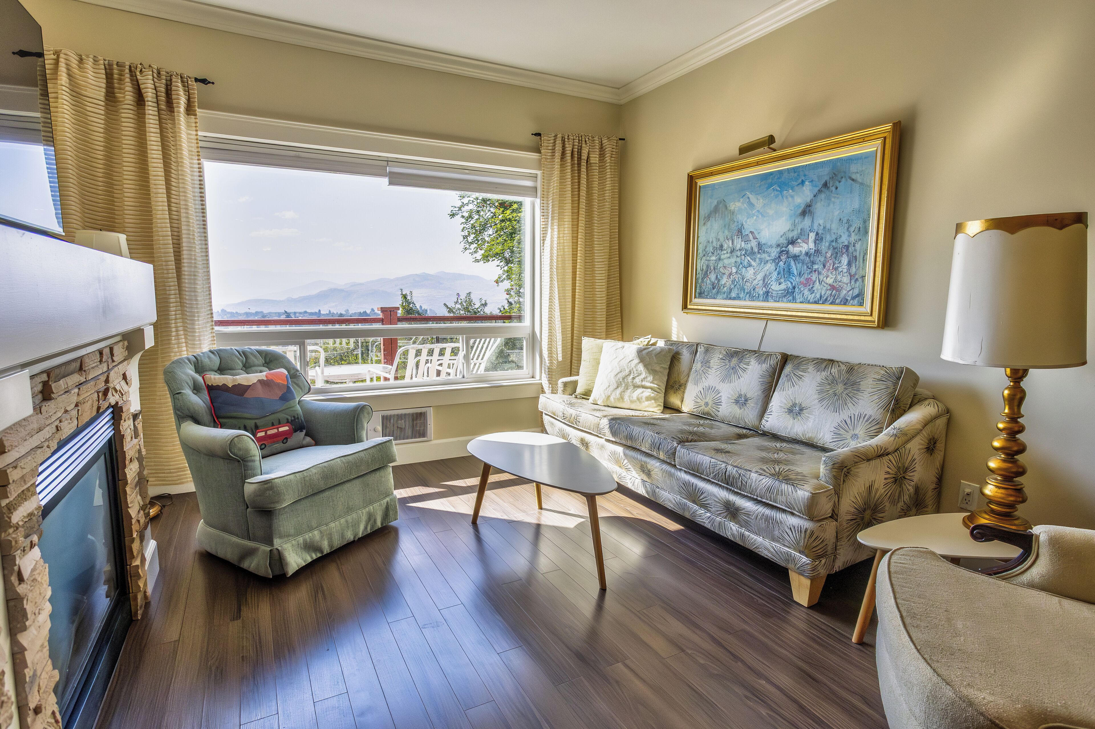 TV connectée, cheminée, livres, chaîne hi-fi