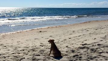 Una spiaggia nelle vicinanze