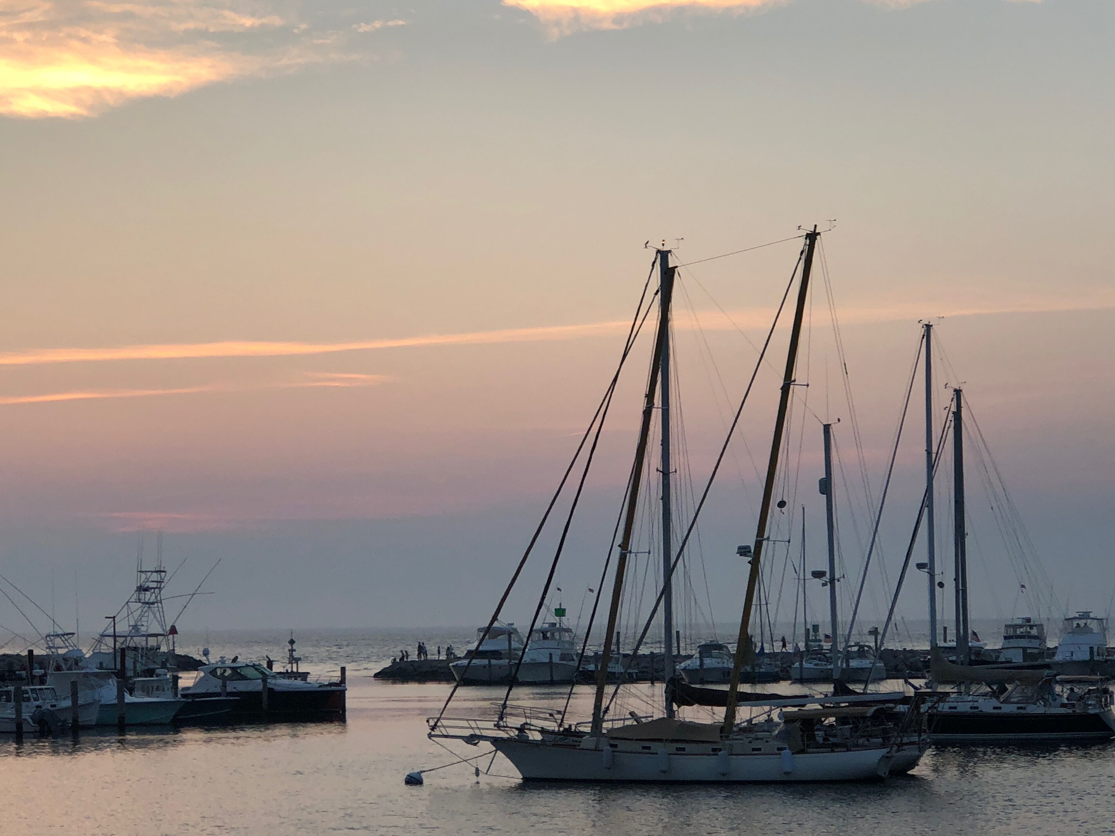 Een jachthaven met meerdere zeilboten aan de steiger.