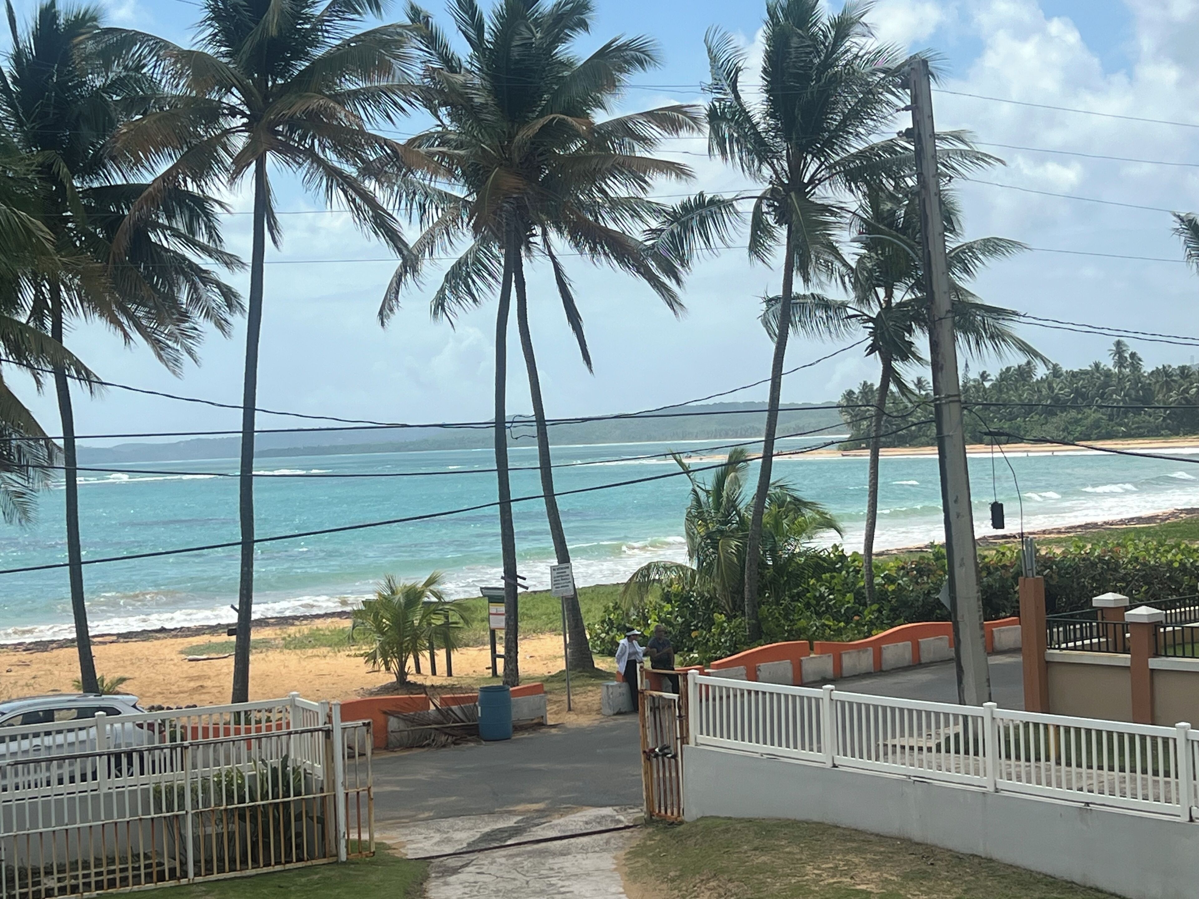 A beach view with palm trees, a sandy shore, and a clear sky.