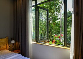 Vista desde la habitación