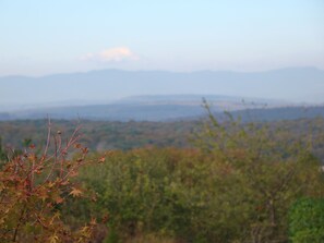Esterni