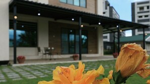 A modern house with a covered patio, a lawn, and a flower in the foreground. - Jifun Flower Meanings (Ji'an)