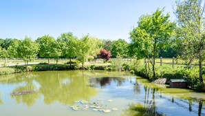 A serene pond with lily pads, surrounded by lush greenery and a wooden fence.