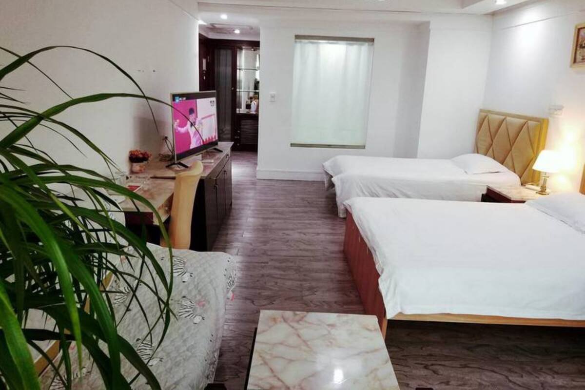 A hotel room with two beds, a desk with a TV, a potted plant, and a window with curtains.