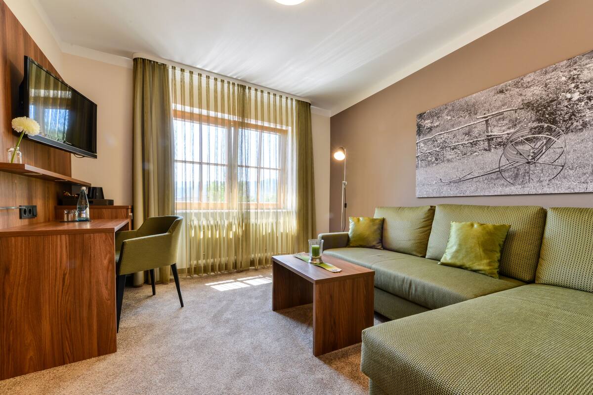 Suite, 1 tweepersoonsbed met slaapbank, niet-roken | Een kluis op de kamer, gratis wifi, beddengoed