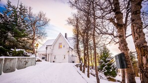 Uklassifisert bilde, 4 av 55, knapp