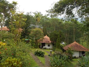 Property grounds - Ecolodge Seloliman (Ngoro)