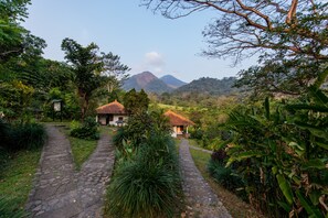 Property grounds - Ecolodge Seloliman (Ngoro)