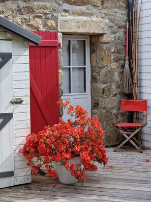 Teras/patio