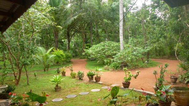 A lush garden with a variety of potted plants and a dirt path. - Sigiri Lodge (Sigiriya)