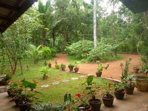 A lush garden with a variety of potted plants and a dirt path. - Sigiri Lodge (Sigiriya)