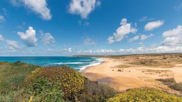Ubicación cercana a la playa y pesca