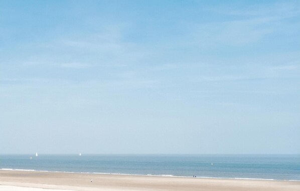 Vlak bij het strand, vissen